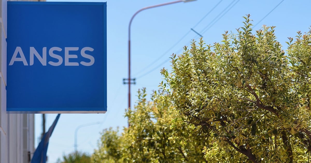 ANSES confirmó el calendario de pagos de octubre para los DNI terminados en 2: todas las fechas, montos y qué se cobra en cada jornada