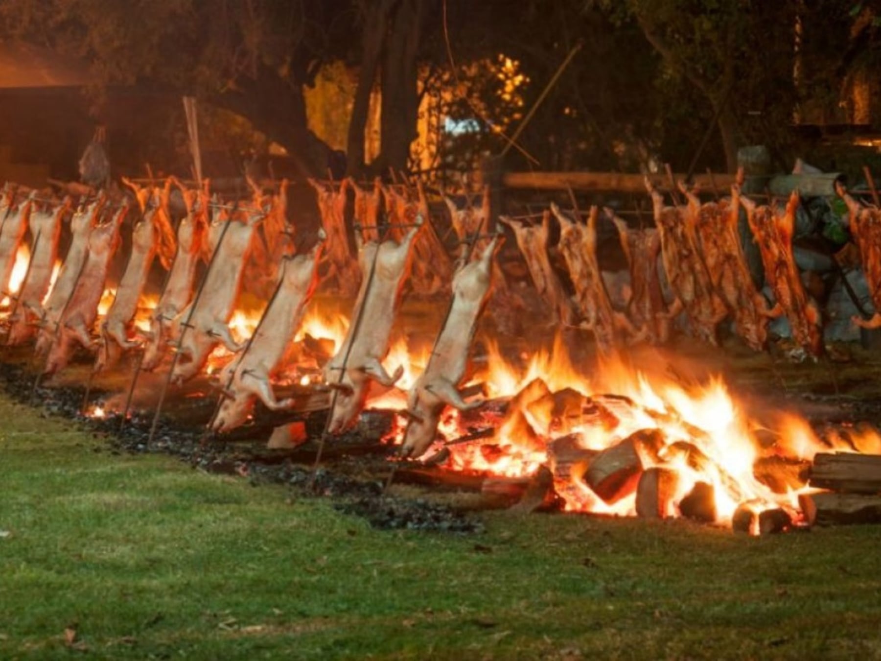 Feriado con sabor a provincia: la agenda que despliega Buenos Aires entre el 10 y el 12 de octubre