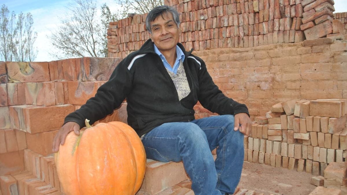 Vuelve el concurso del zapallo gigante a Mariano Moreno y regalan semillas para que cualquiera se anime a tener su huerta