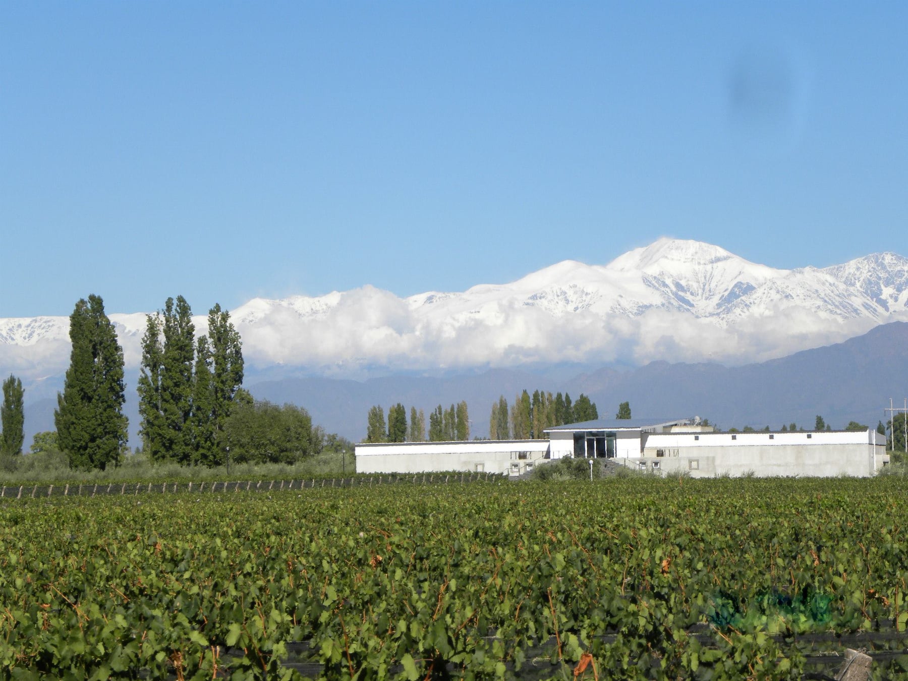 Chacras de Coria, el pueblo mendocino que reordenó su oferta alrededor del vino, la cocina de autor y la música electrónica