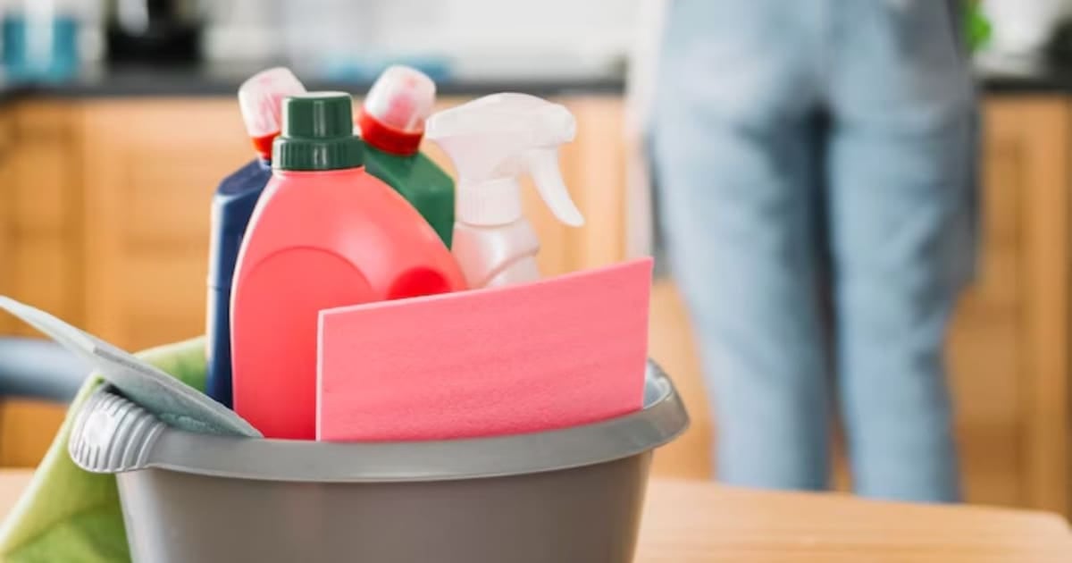ARCA lanza el Recibo Asistido y automatiza la liquidación mensual del personal doméstico