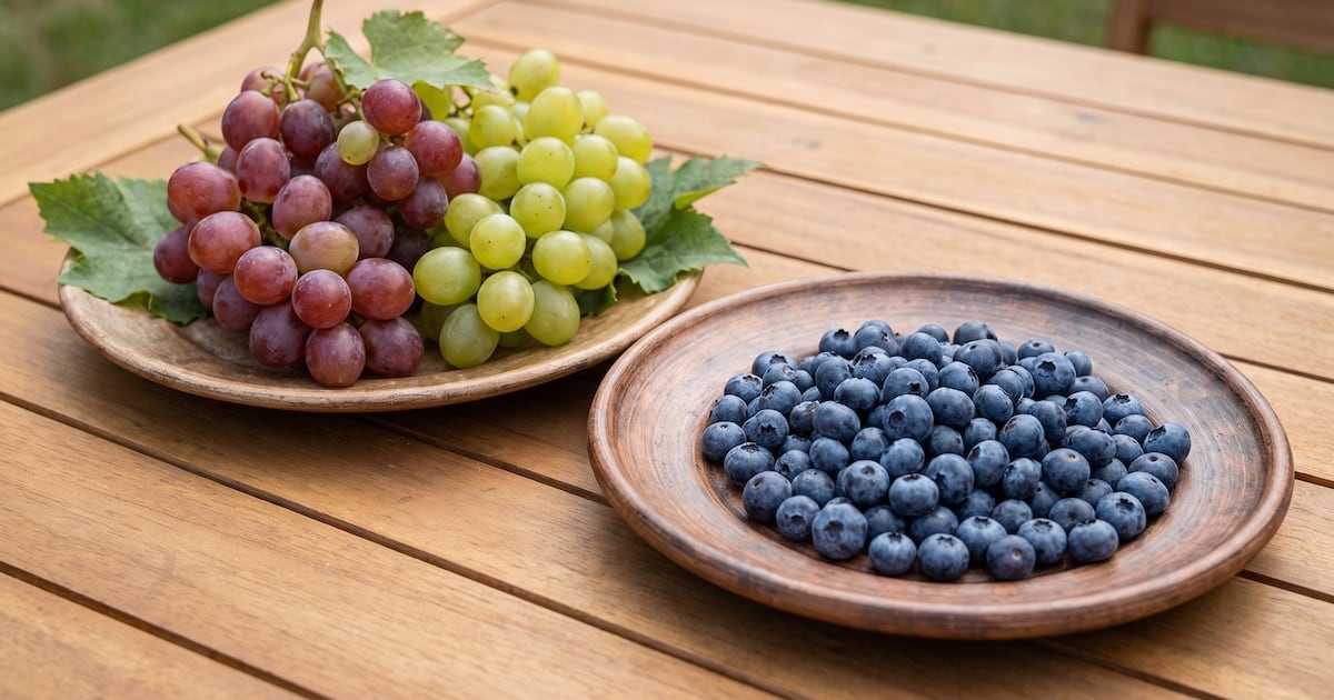 Arándanos o uvas: la pulseada cotidiana que muchos no saben que están jugando en el plato
