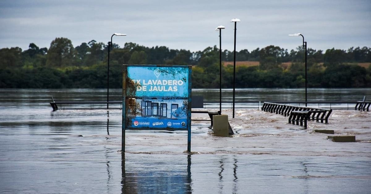 El Niño empuja los cortes hacia arriba: prevén ajustes de hasta 10% en la carne antes de fin de año
