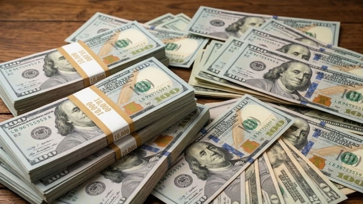 Jornada sin sobresaltos: el dólar blue se mantuvo a 1.555 pesos y el oficial cerró a 1.535 en el inicio de la semana