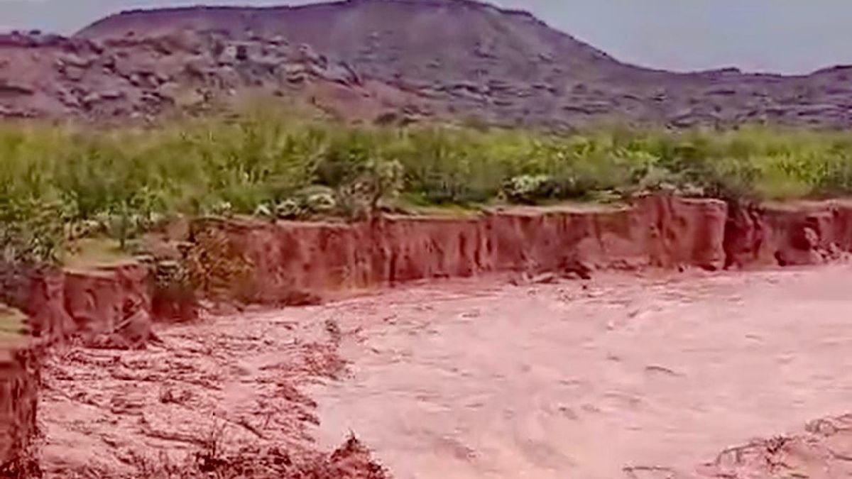 Río Neuquén: dónde consultar los caudales oficiales durante alertas por lluvias