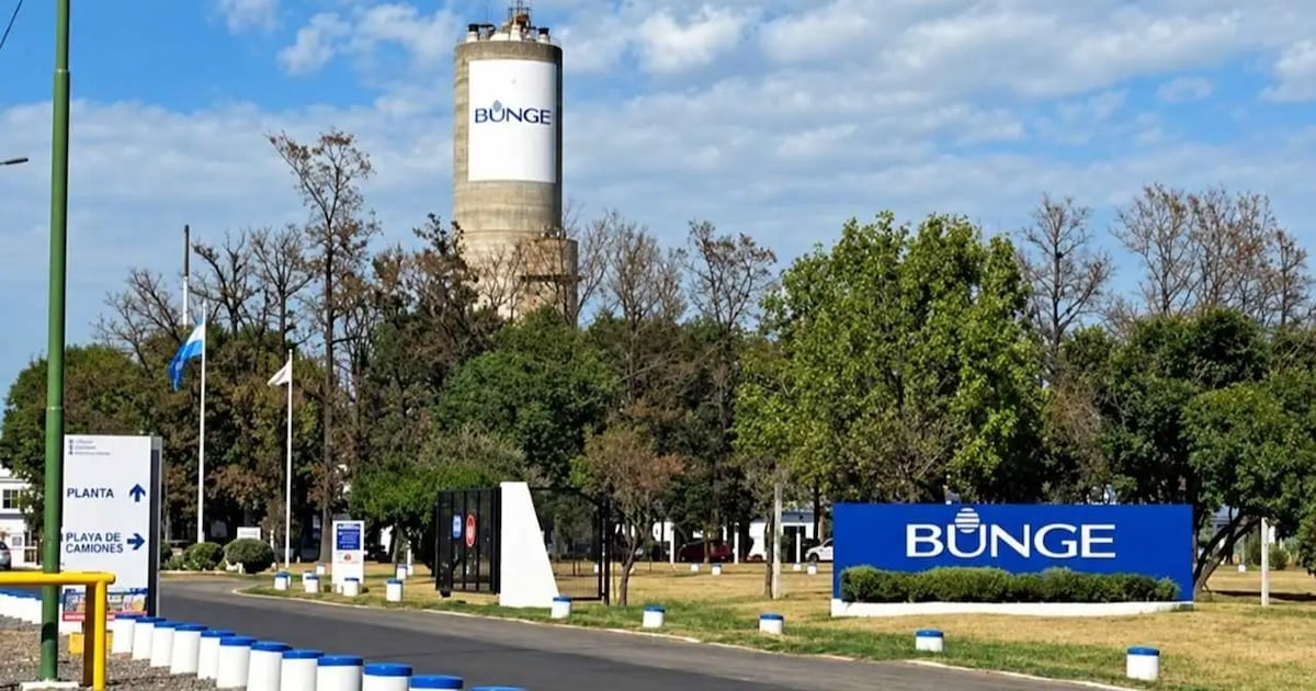 Campana: una planta química interrumpe su producción y desvincula a 110 empleados
